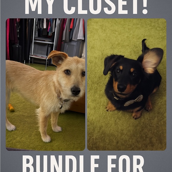 Share show every Tuesday 5pm EST TRAY OPENS DAY BEFORE! Green to be seen! - Picture 3 of 5